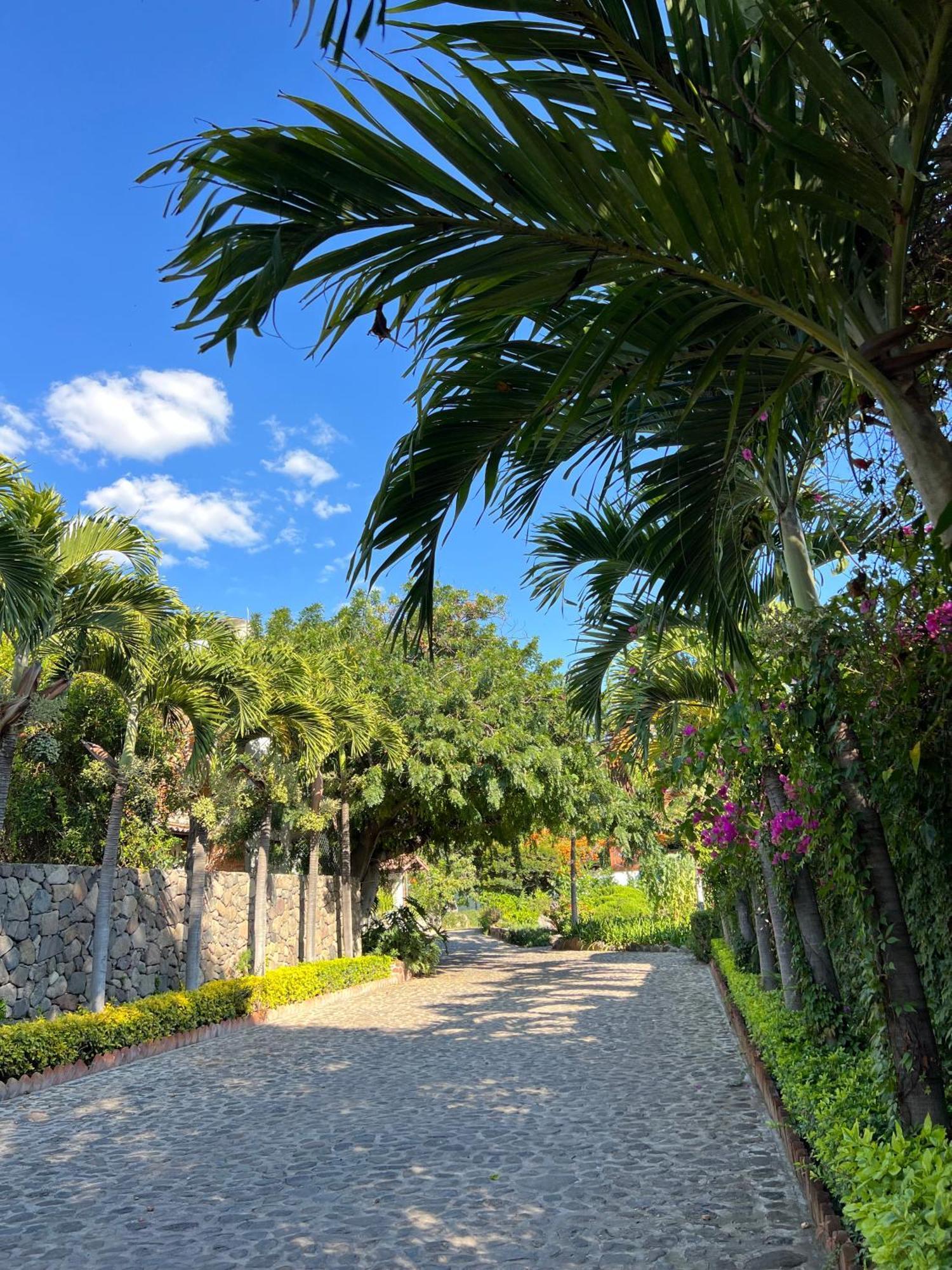 Mama Chuy Hotel & Villas San Juan Cosalá Eksteriør billede