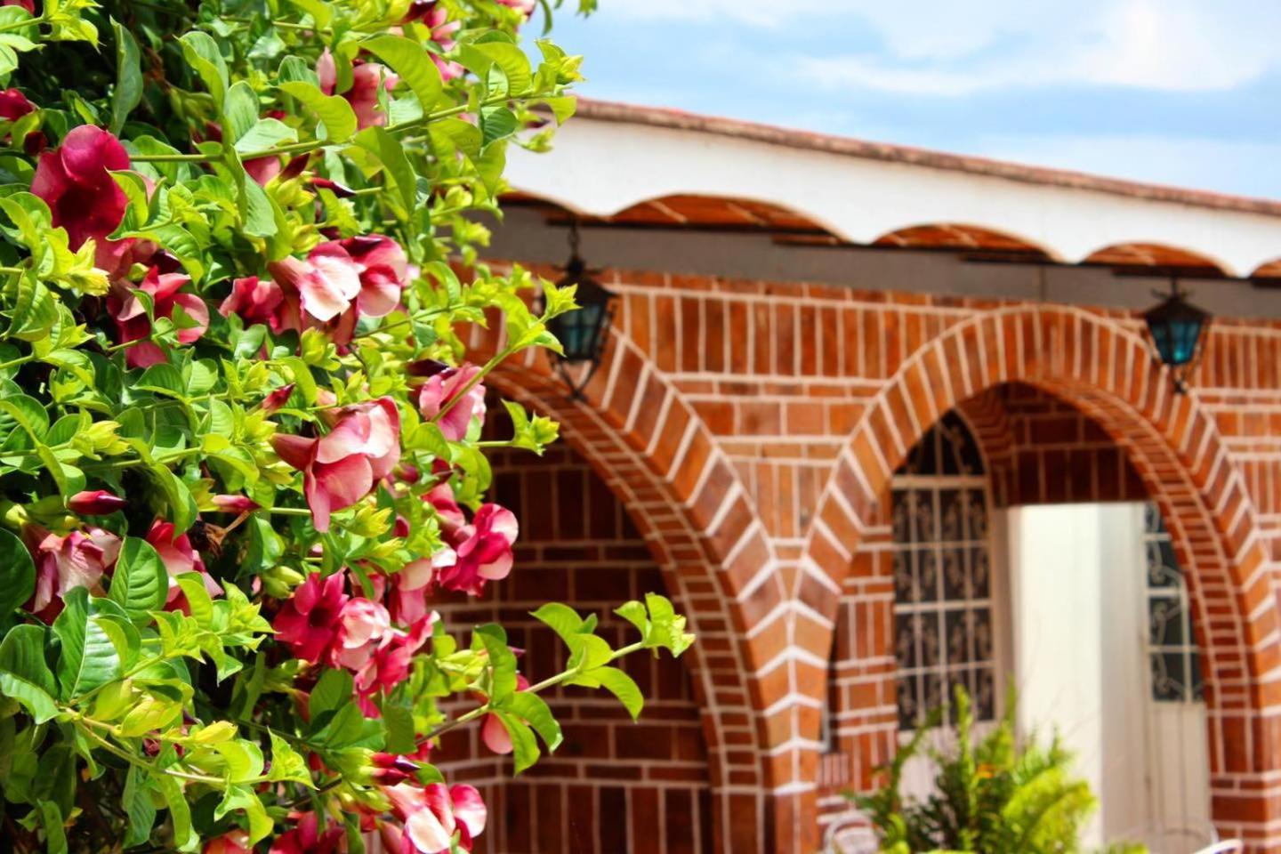 Mama Chuy Hotel & Villas San Juan Cosalá Eksteriør billede