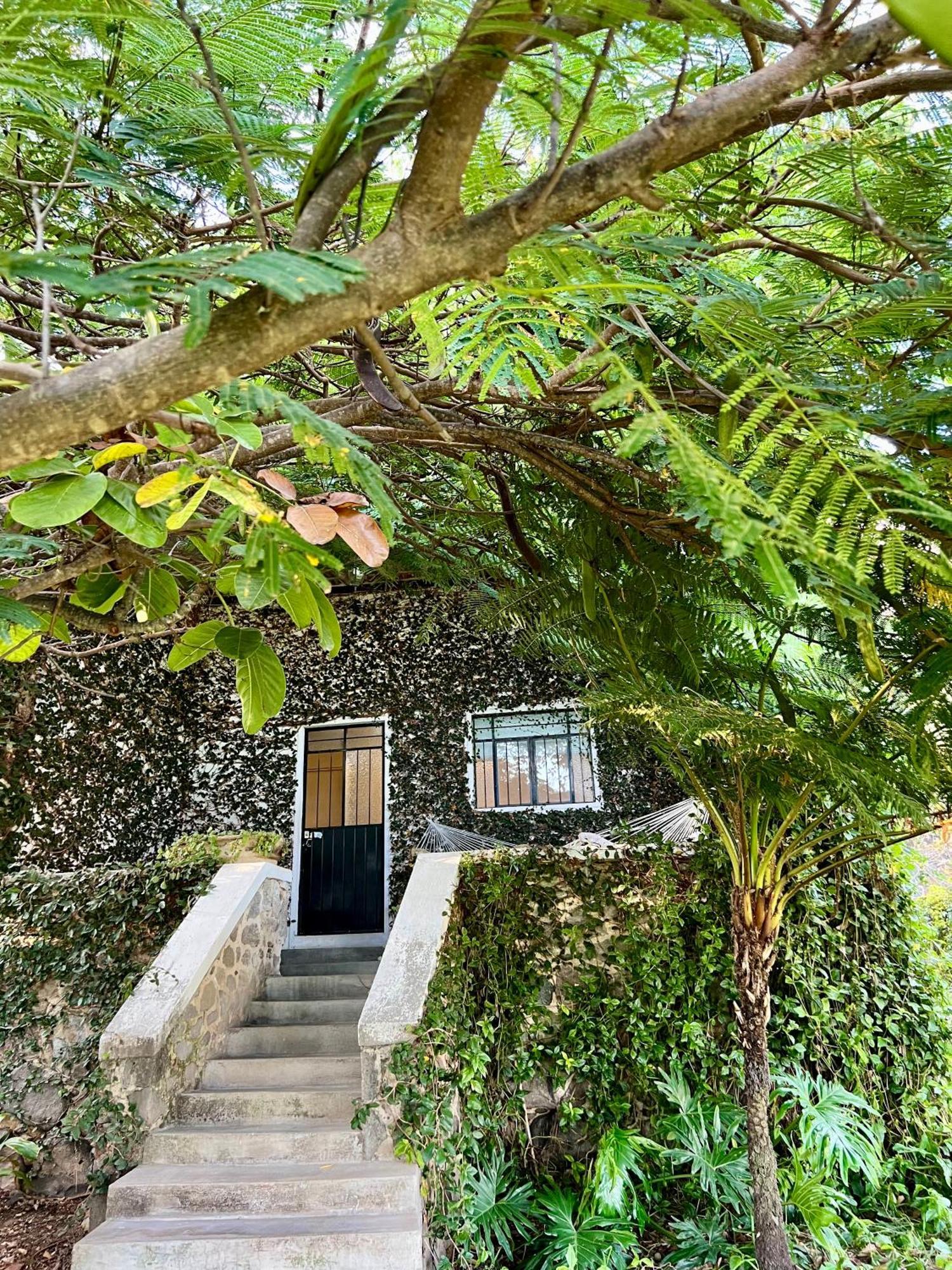 Mama Chuy Hotel & Villas San Juan Cosalá Eksteriør billede